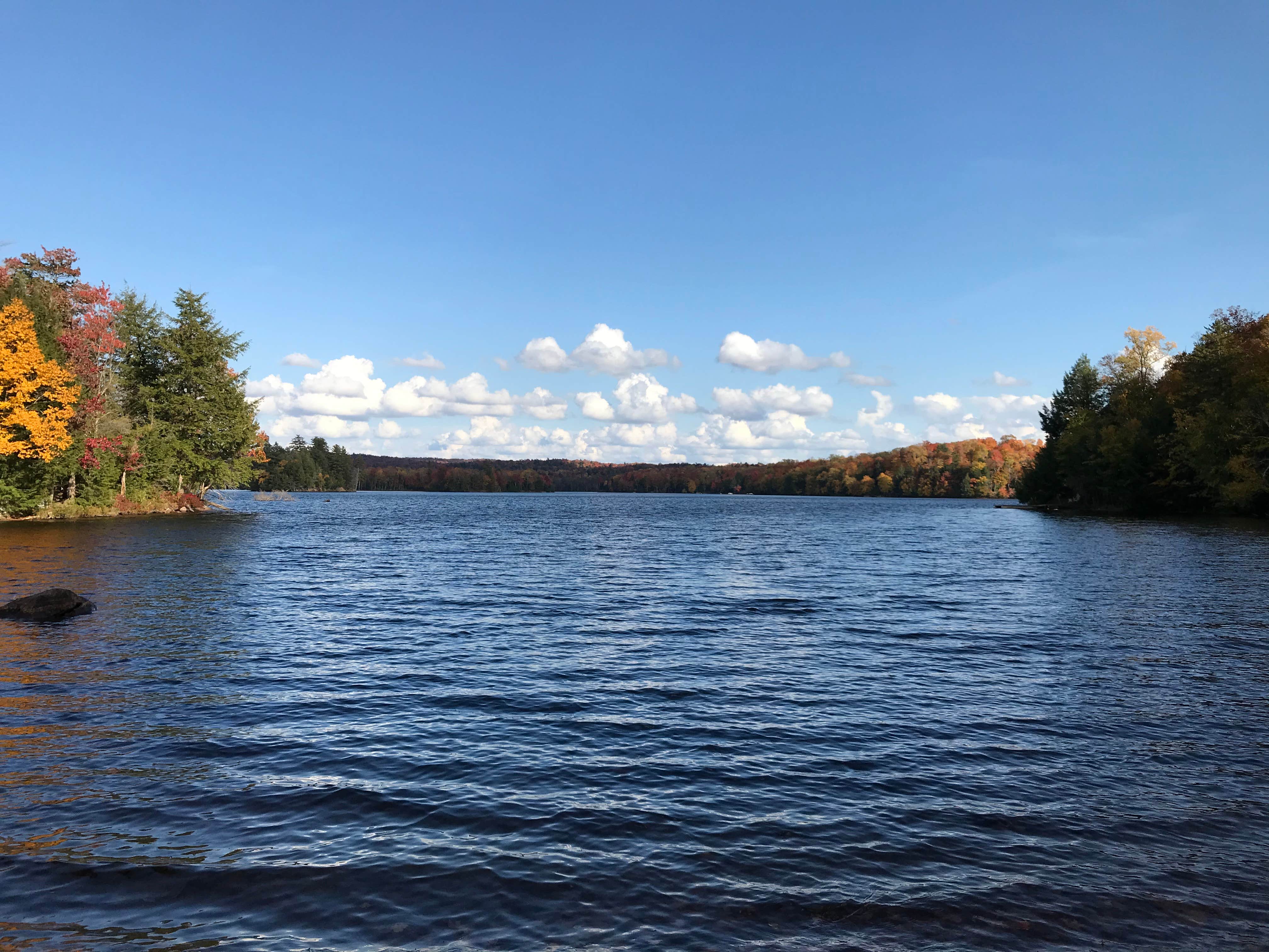 Camper submitted image from Soft Maple Campground - 5