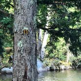 Review photo of Soft Maple Campground by Elizabeth B., September 29, 2020