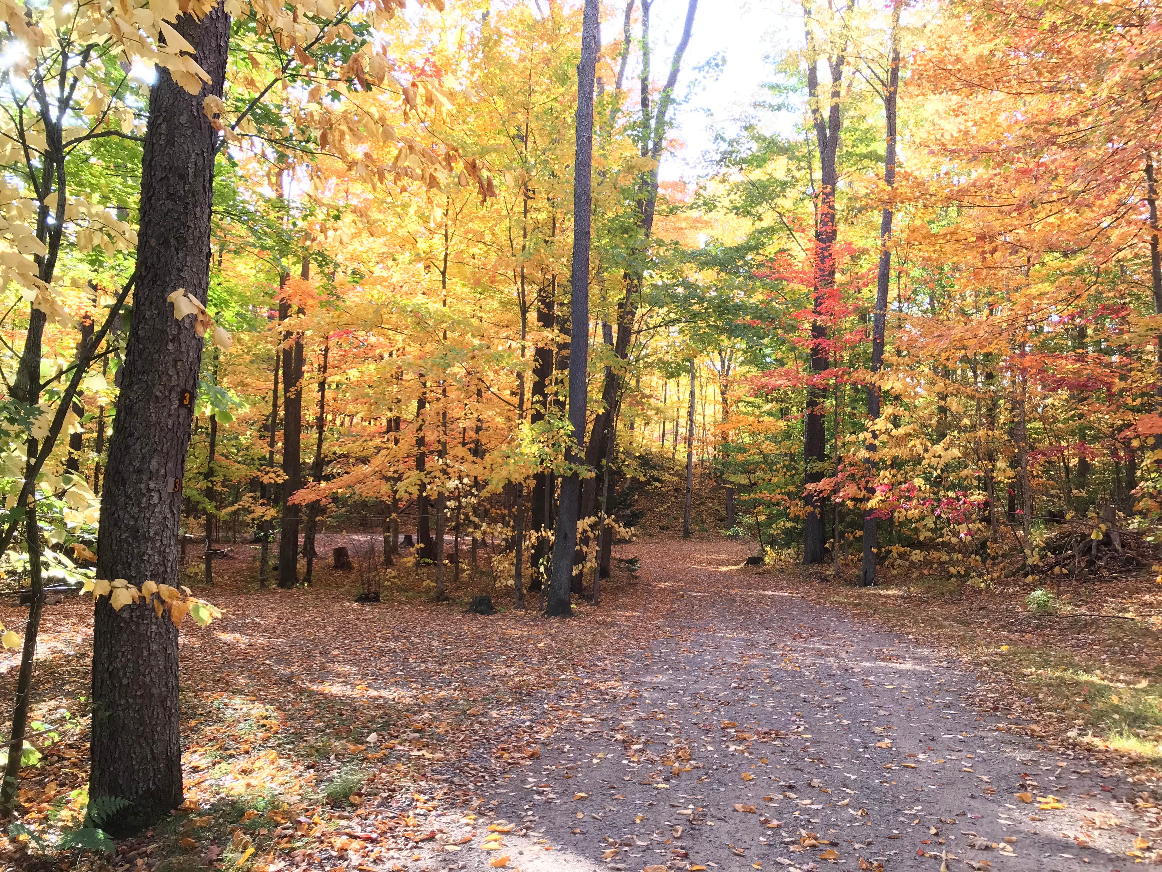 Camper-submitted photo at Soft Maple Campground near Croghan, NY