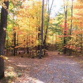 Review photo of Soft Maple Campground by Elizabeth B., September 29, 2020