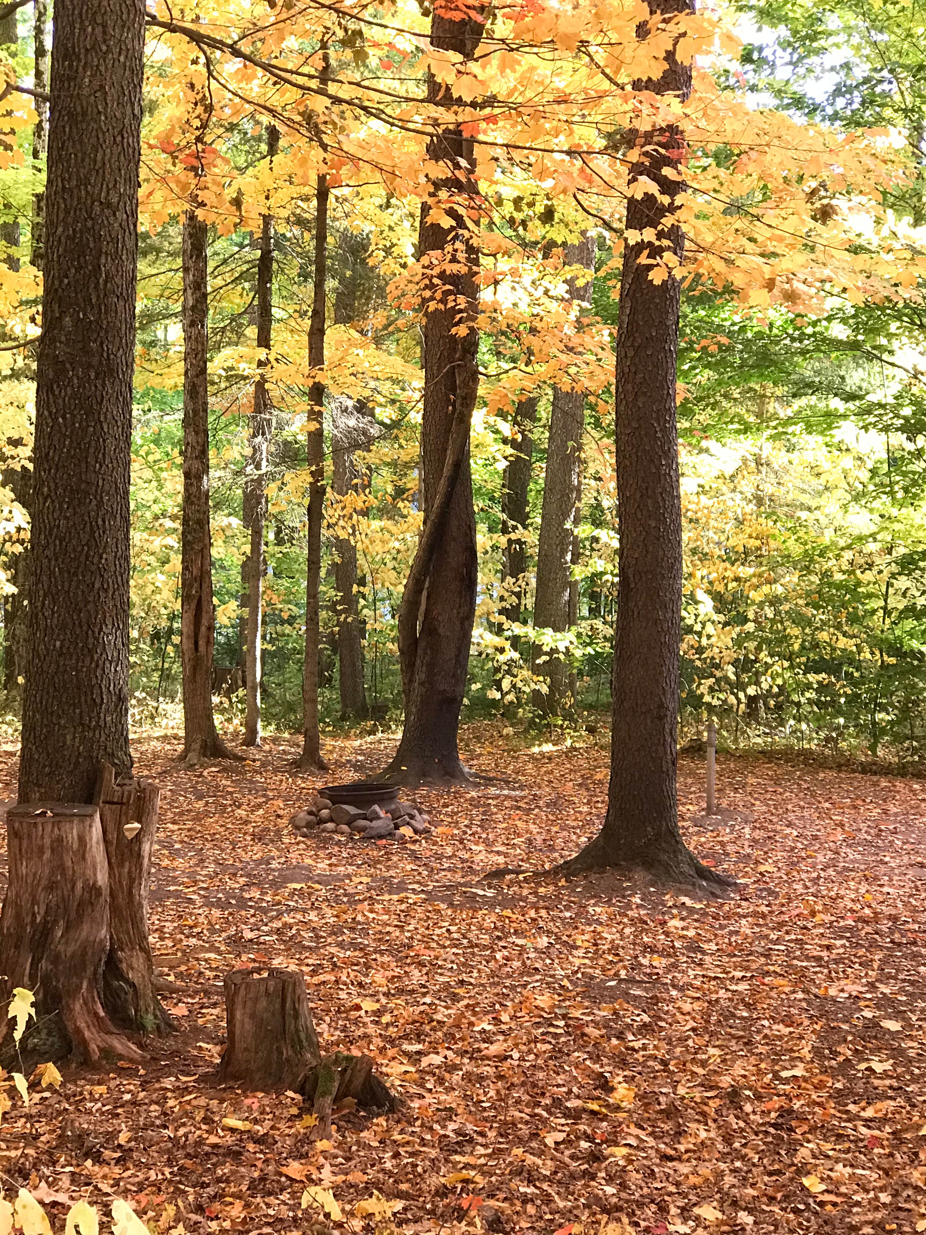 Camper-submitted photo at Soft Maple Campground near Croghan, NY