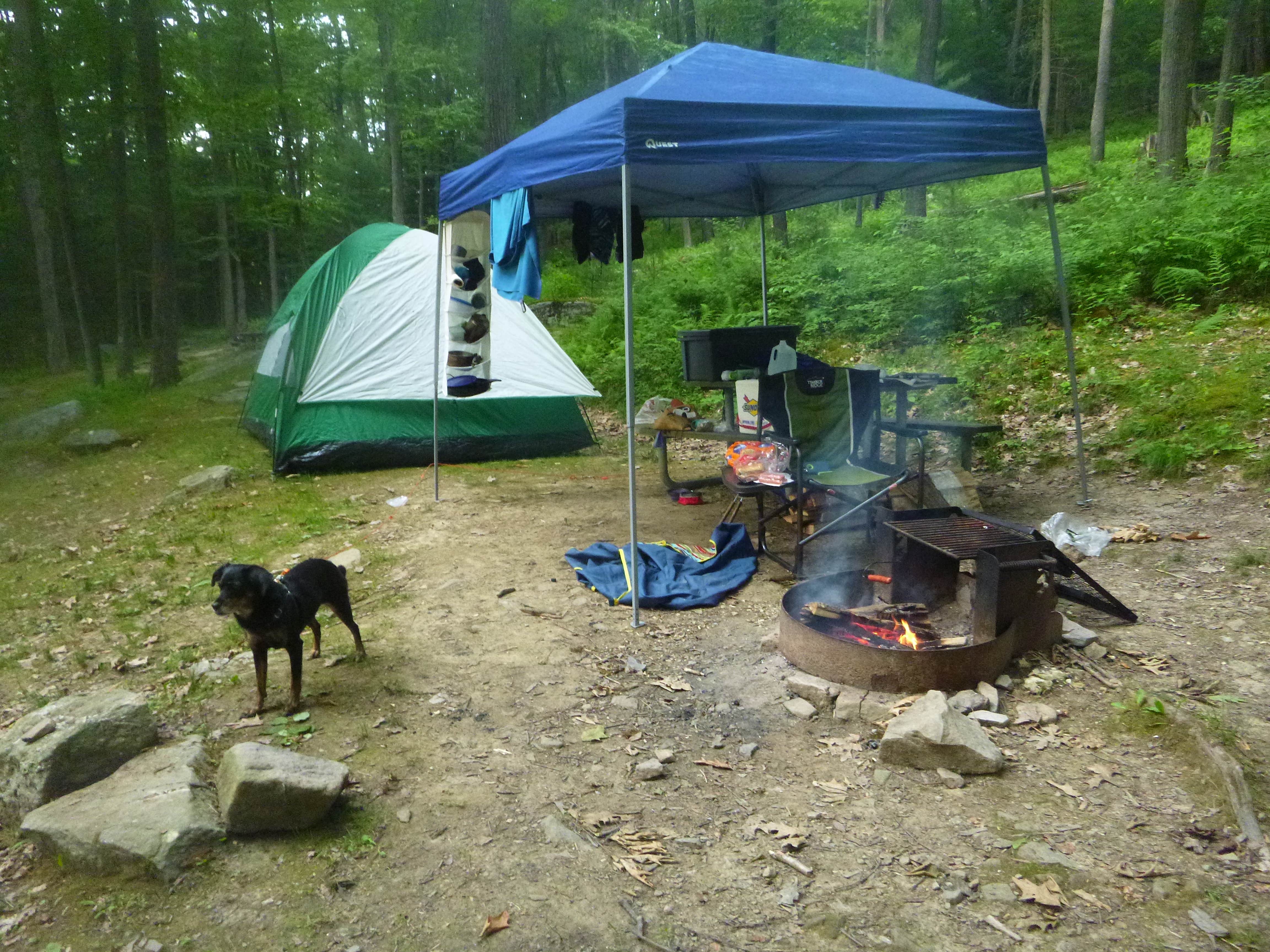 Camper submitted image from Clear Creek State Park Campground - 2