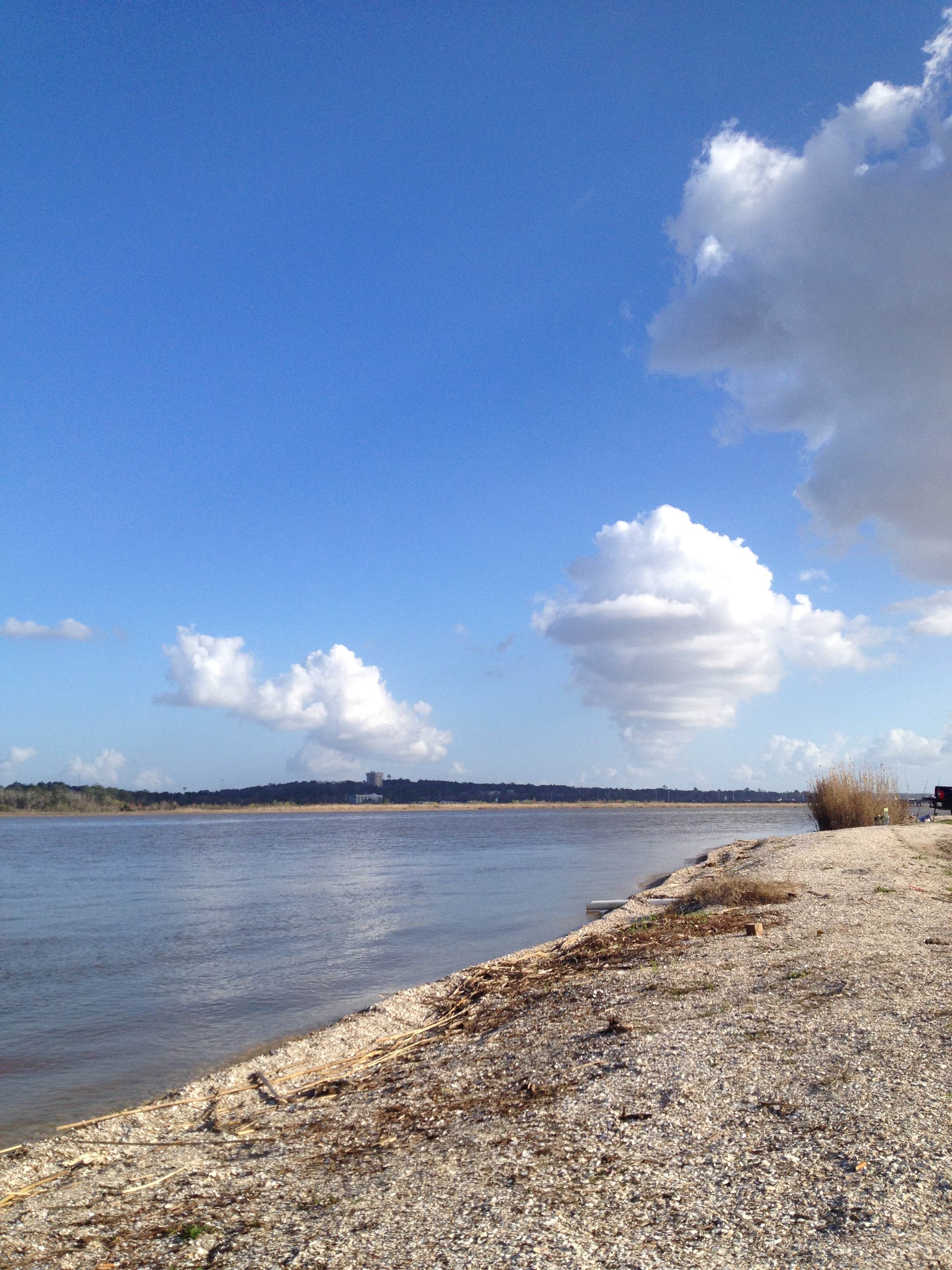 Camper submitted image from Meaher State Park Campground - 5