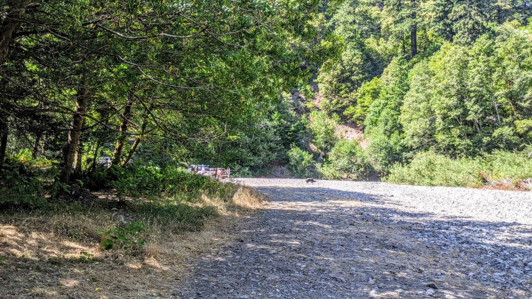 Camper-submitted photo at Elk River "Stony Beach" Dispersed Camping near Port Orford, OR
