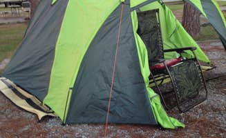 Karen L.'s photo at Meaher State Park Campground near Magnolia Springs, AL