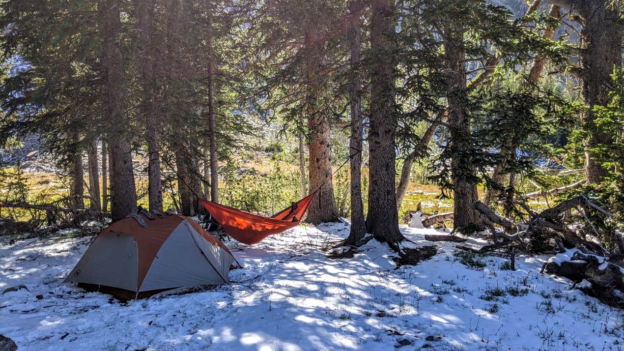 Quinn Z.'s photo of a dispersed camping area at Flower Lake Dispersed Camping near Gibbonsville, ID