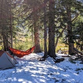 Review photo of Flower Lake Dispersed Camping by Quinn Z., September 29, 2020