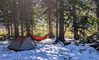 Quinn Z.'s photo of a dispersed camping area at Flower Lake Dispersed Camping near Stevensville, MT