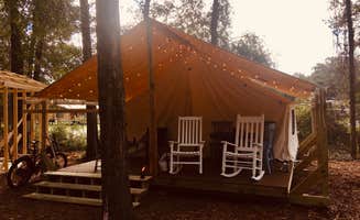 Lisa R.'s photo at Moonshine Acres RV Park near High Springs, FL