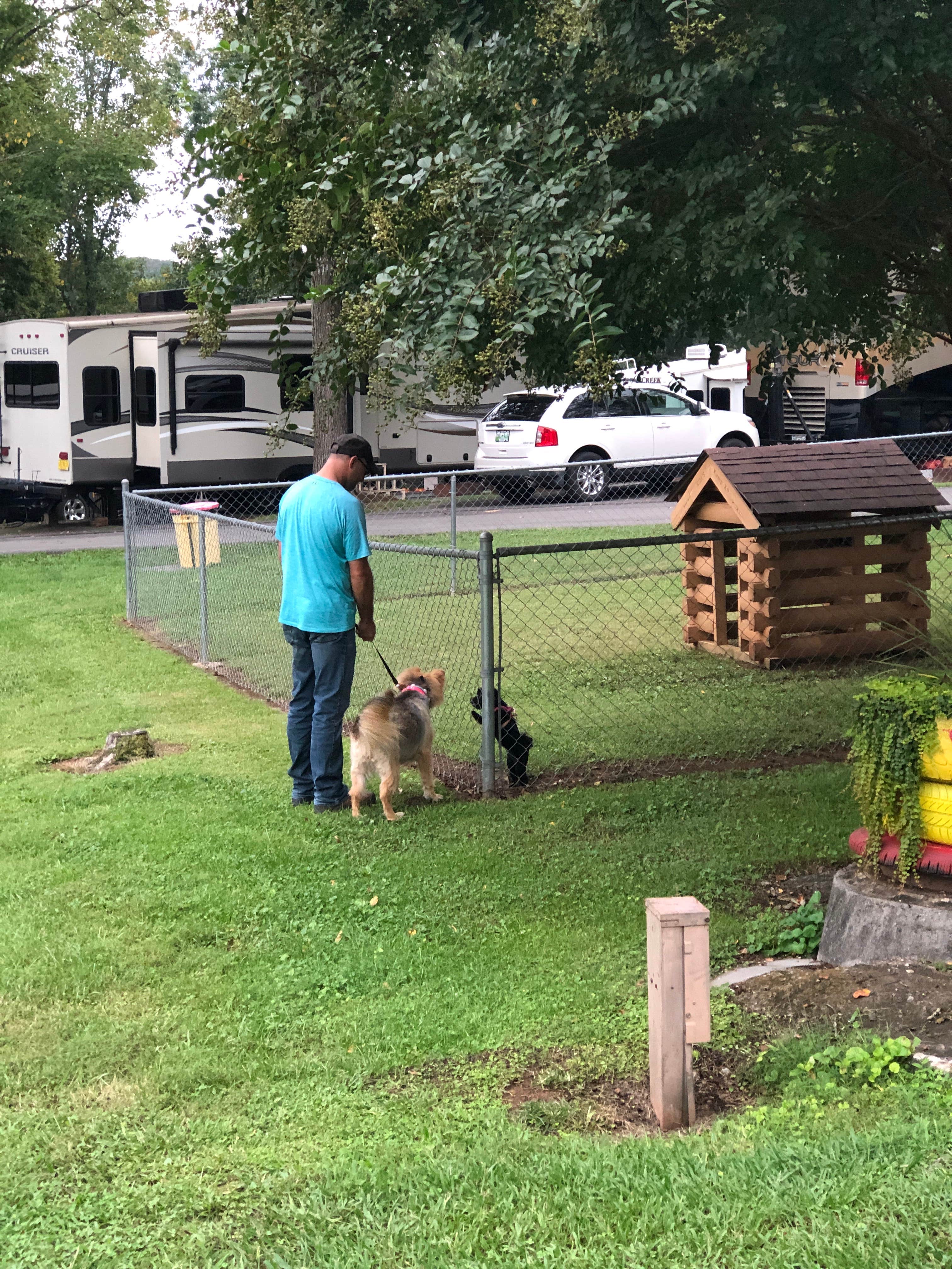 Laura H.'s photo of camping with pets at Sweetwater KOA near Madisonville, TN