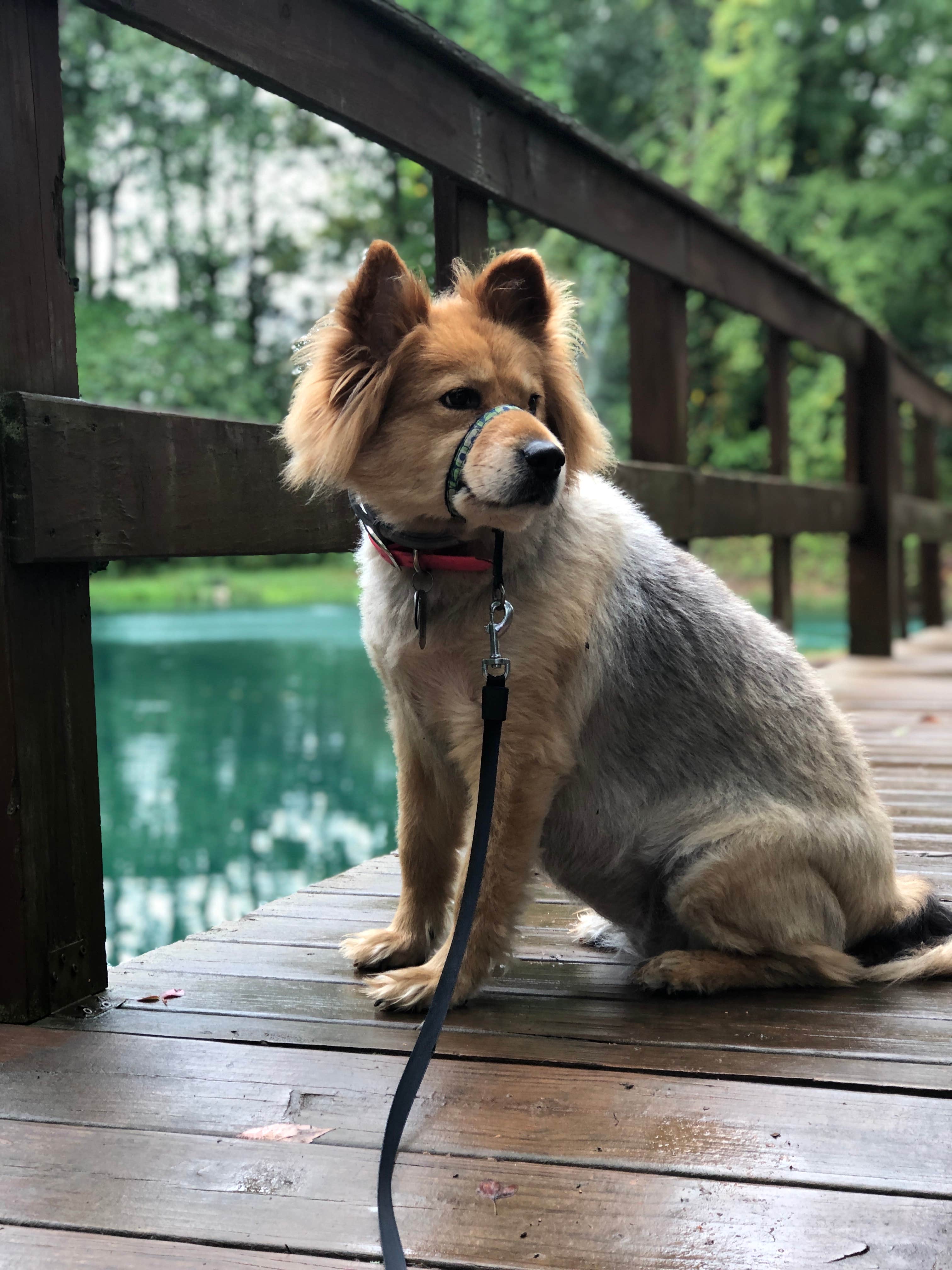 Camper-submitted photo at Sweetwater KOA near Athens, TN