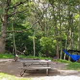 Review photo of Big Meadows Campground by Marlene V., September 29, 2020