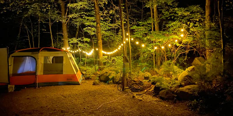 Camper submitted image from Calef Lake Camping Area