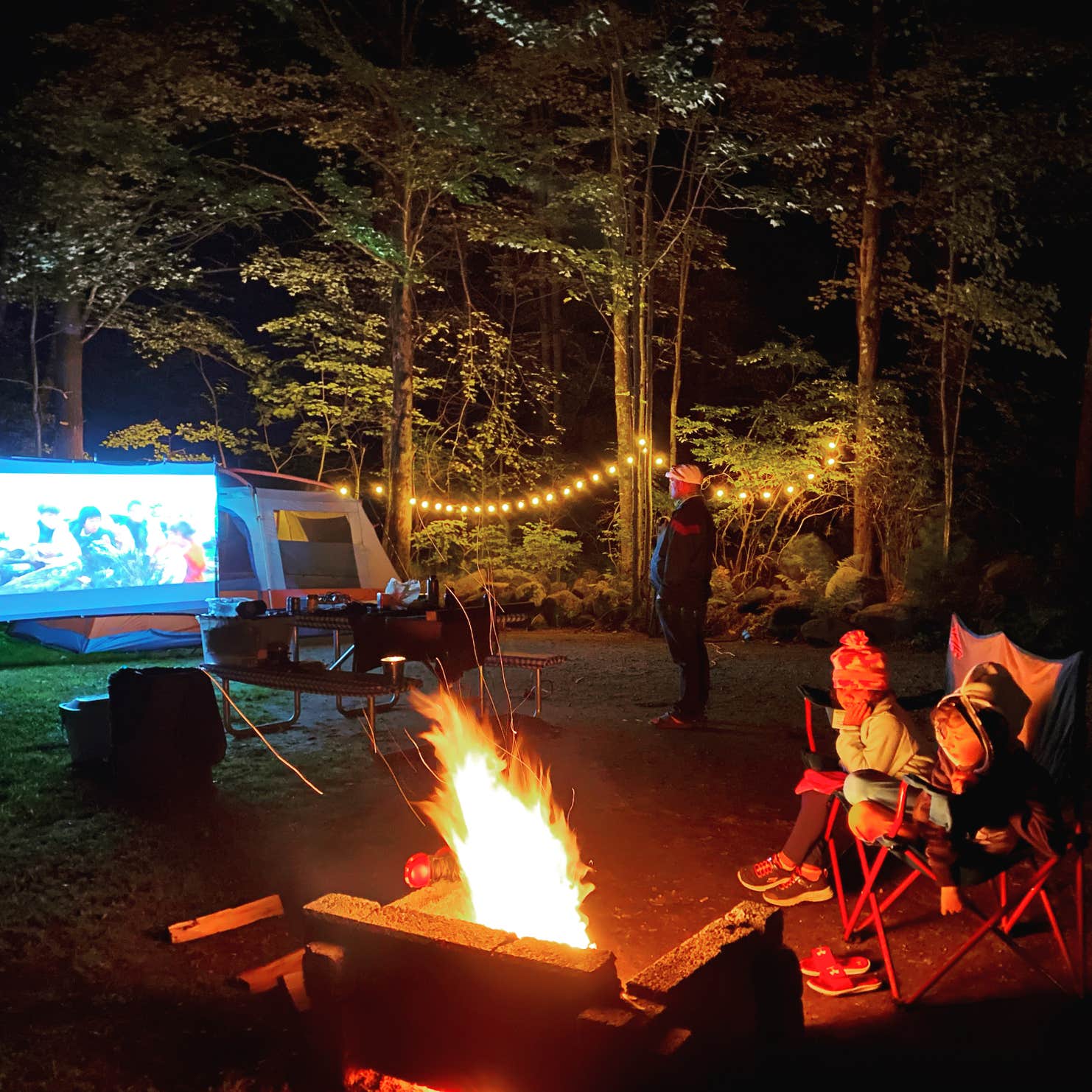 Calef Lake Camping Area Camping The Dyrt