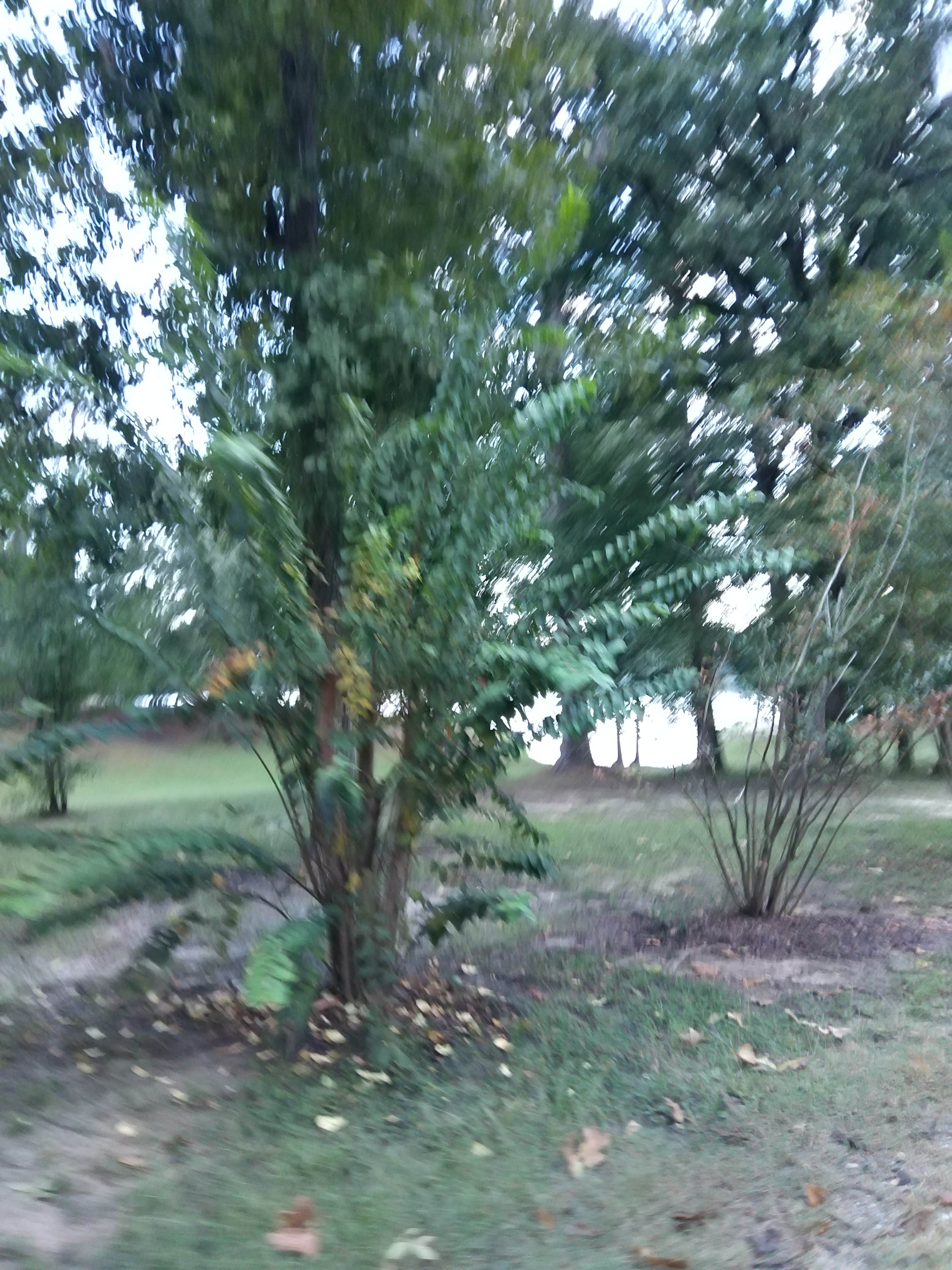 Camping near Tombigbee State Park Campground: Lake Monroe, Amory, Mississippi