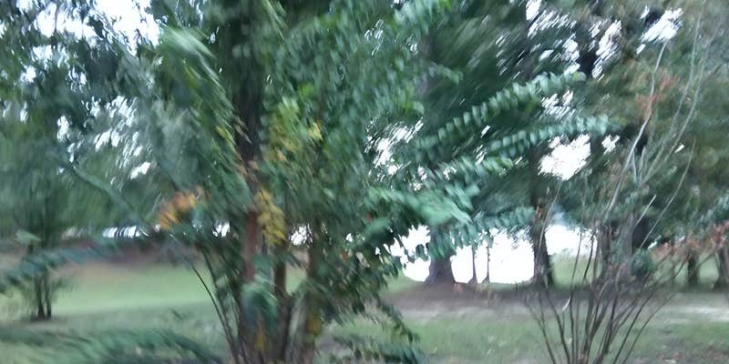 Camper submitted image from Lake Monroe