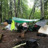 Review photo of Virgin Falls State Natural Area - Primitive by Michele M., September 29, 2020