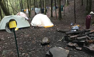 Michele M.'s photo at Virgin Falls State Natural Area - Primitive near Spencer, TN