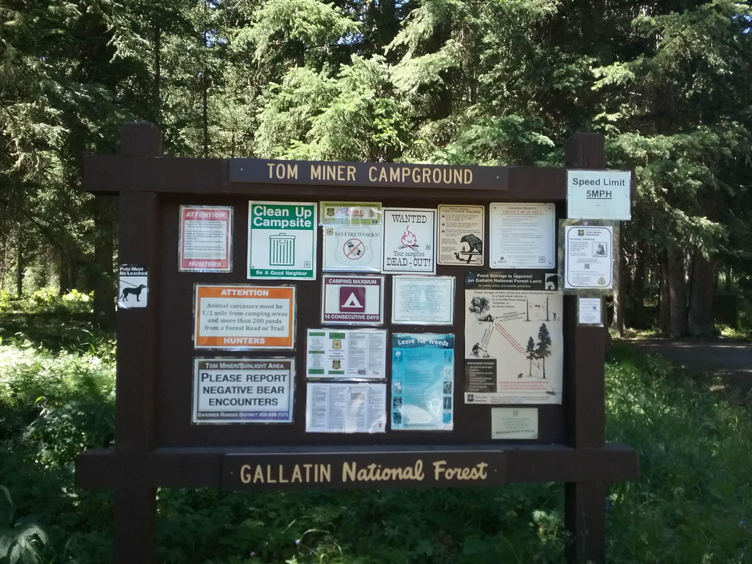 Camper submitted image from Tom Miner Campground - 3