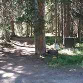 Review photo of Tom Miner Campground by Dexter I., September 29, 2020