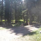 Review photo of Tom Miner Campground by Dexter I., September 29, 2020