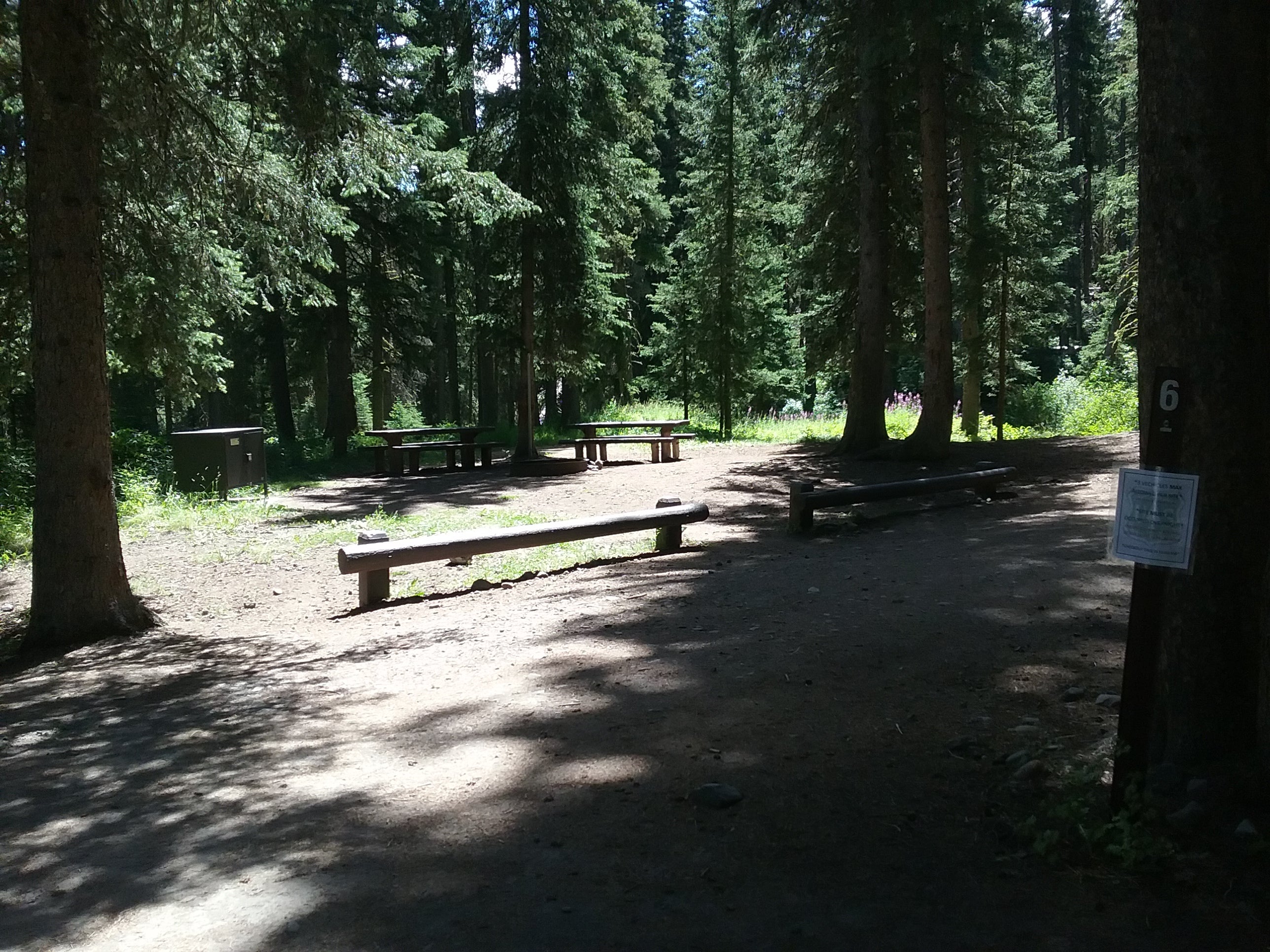 Camper submitted image from Tom Miner Campground - 5