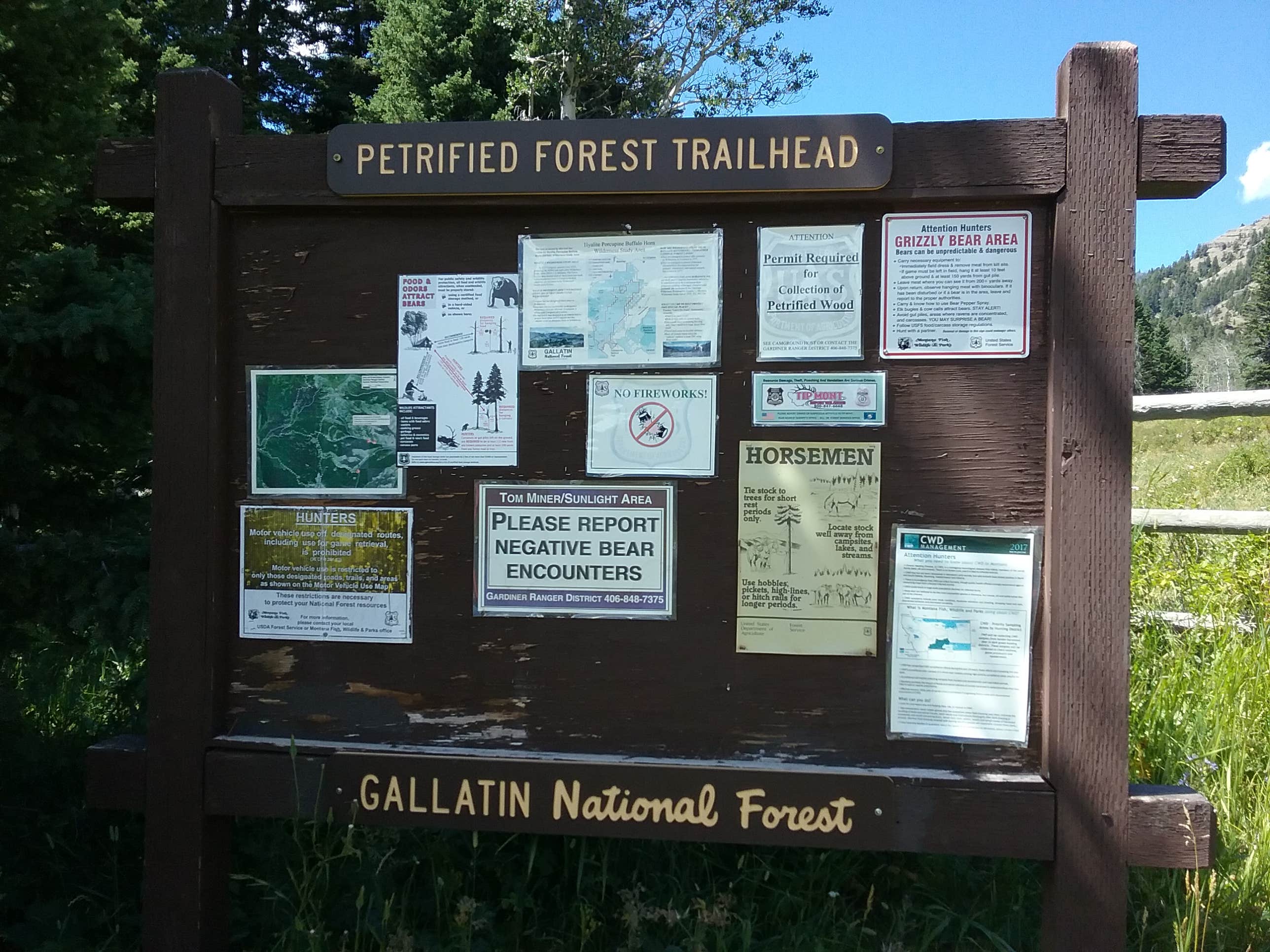 Camping near Buffalo Plateau Cabin — Yellowstone National Park: Tom Miner Campground, Big Sky, Montana