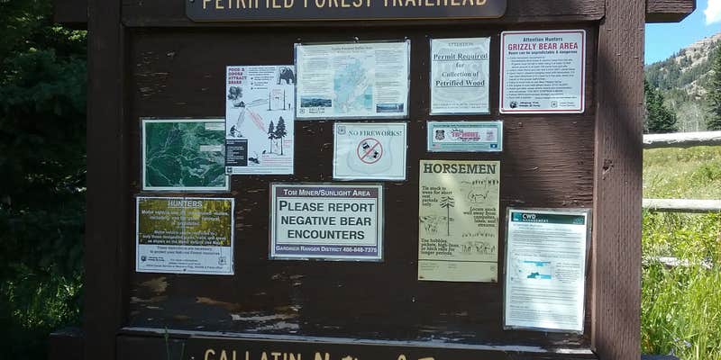 Camper submitted image from Tom Miner Campground