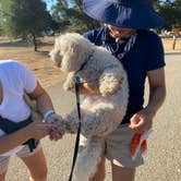 Review photo of Cachuma Lake Recreation Area by MomentoMori C., September 29, 2020