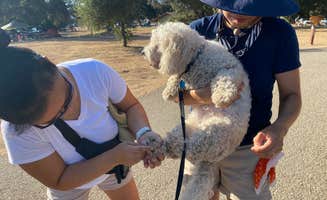 MomentoMori C.'s photo of camping with pets at Cachuma Lake Recreation Area near New Cuyama, CA