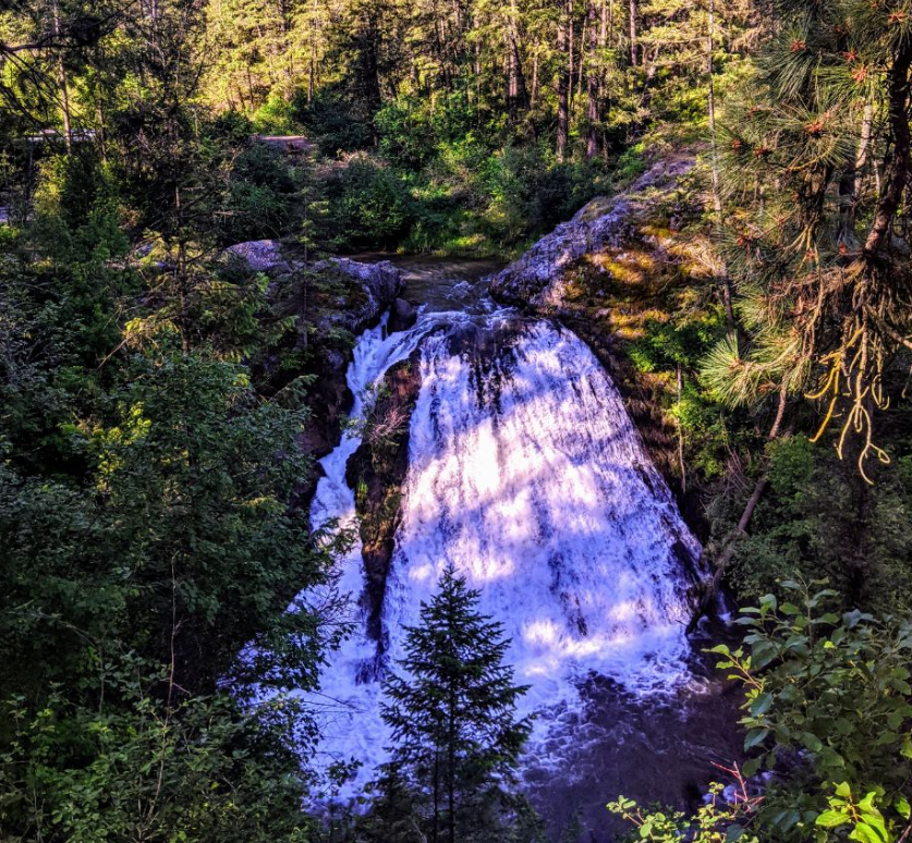 View All