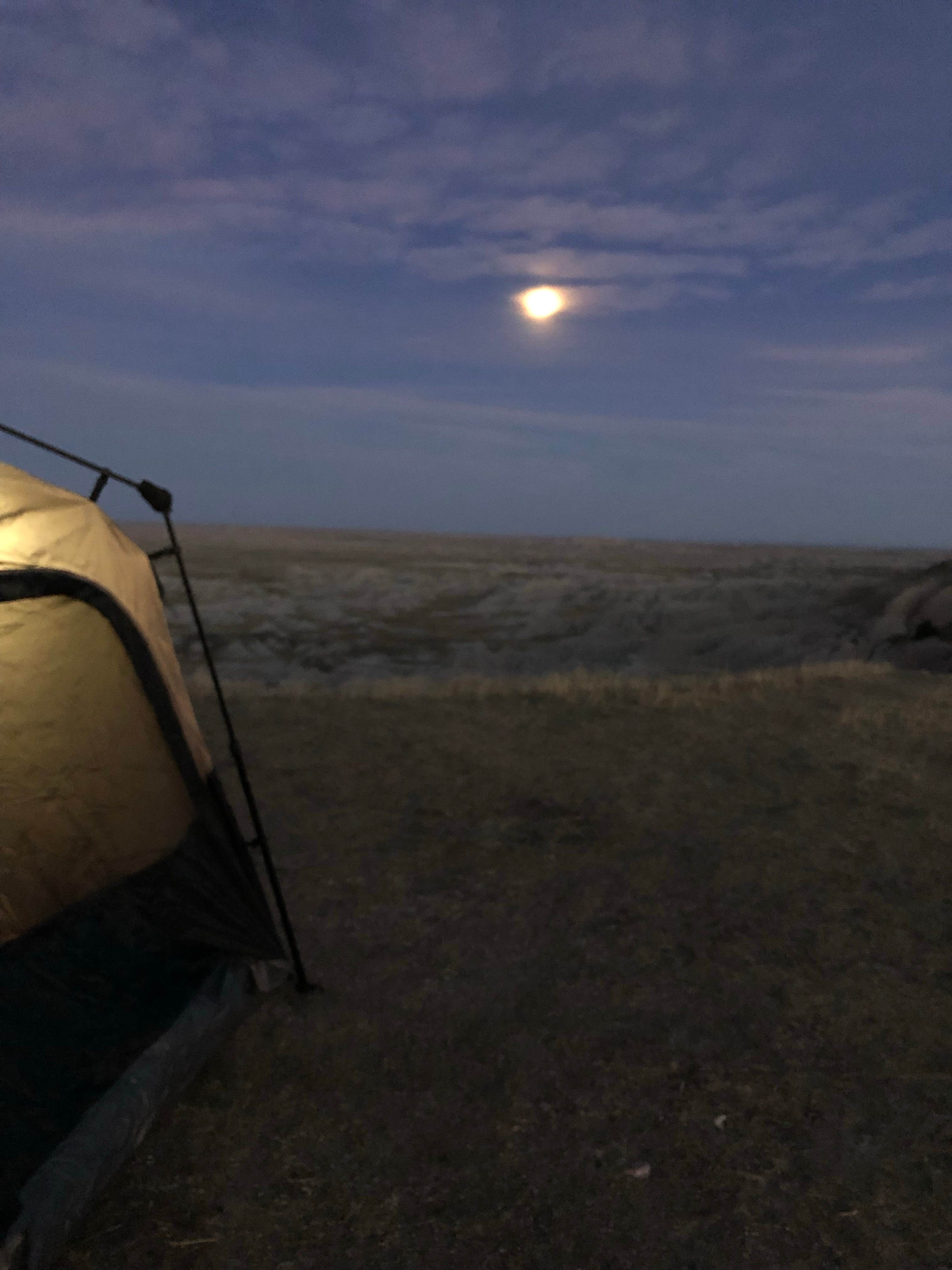 Rachel's photo of a dispersed camping area at Buffalo Gap Dispersed Camping near Philip, SD