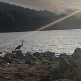 Review photo of Harpers Ferry Campground - River Riders by Melinda E., September 29, 2020