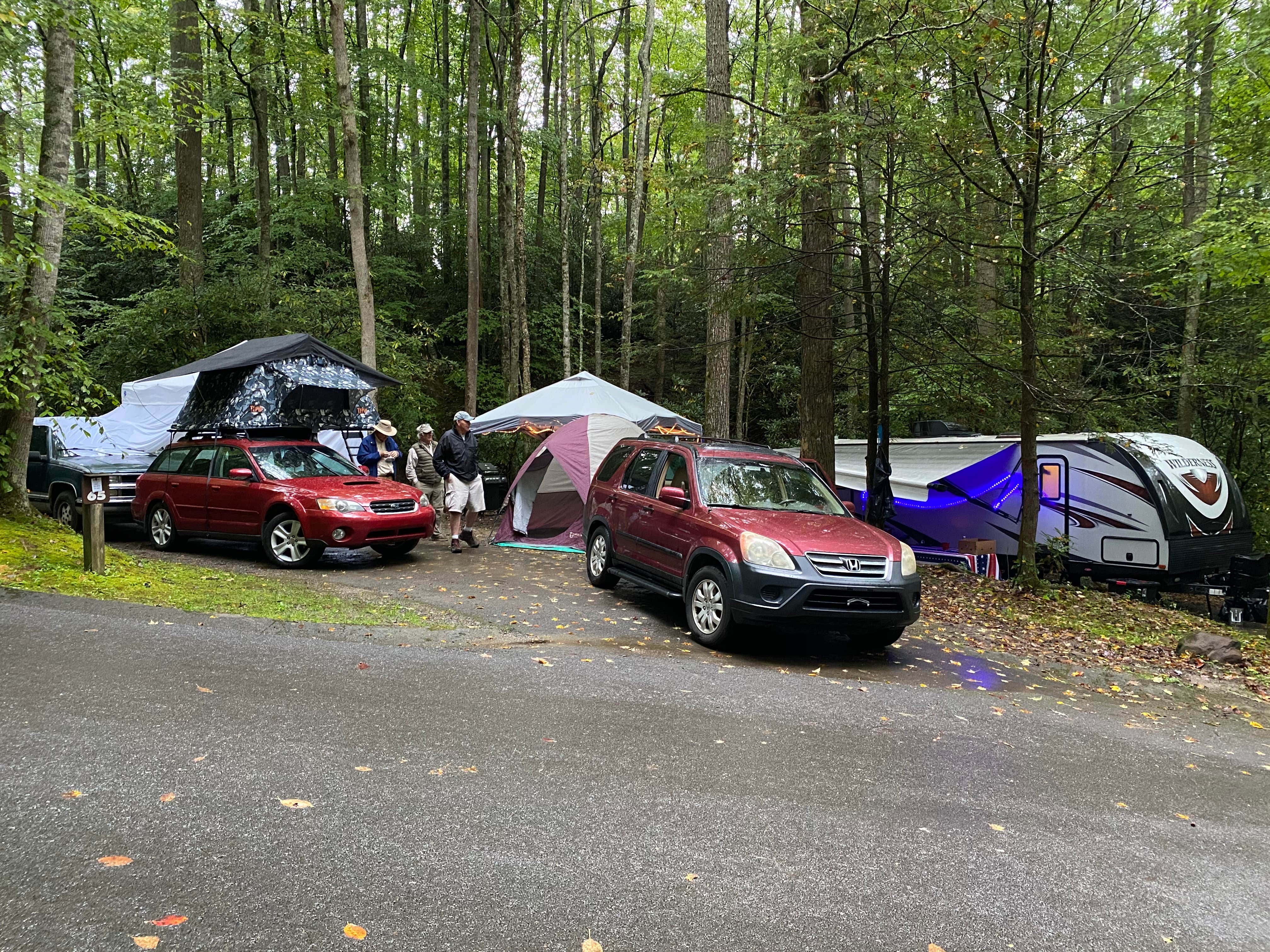 Liz H.'s photo at Roan Mountain State Park Campground near Erwin, TN