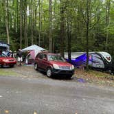 Review photo of Roan Mountain State Park Campground by Liz H., September 29, 2020