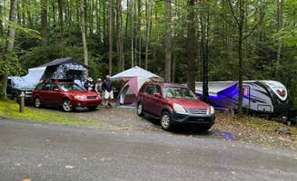 Liz H.'s photo at Roan Mountain State Park Campground near Bakersville, NC