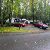 Review photo of Roan Mountain State Park Campground by Liz H., September 29, 2020