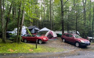 Liz H.'s photo at Roan Mountain State Park Campground near Bakersville, NC