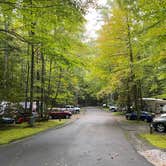 Review photo of Roan Mountain State Park Campground by Liz H., September 29, 2020