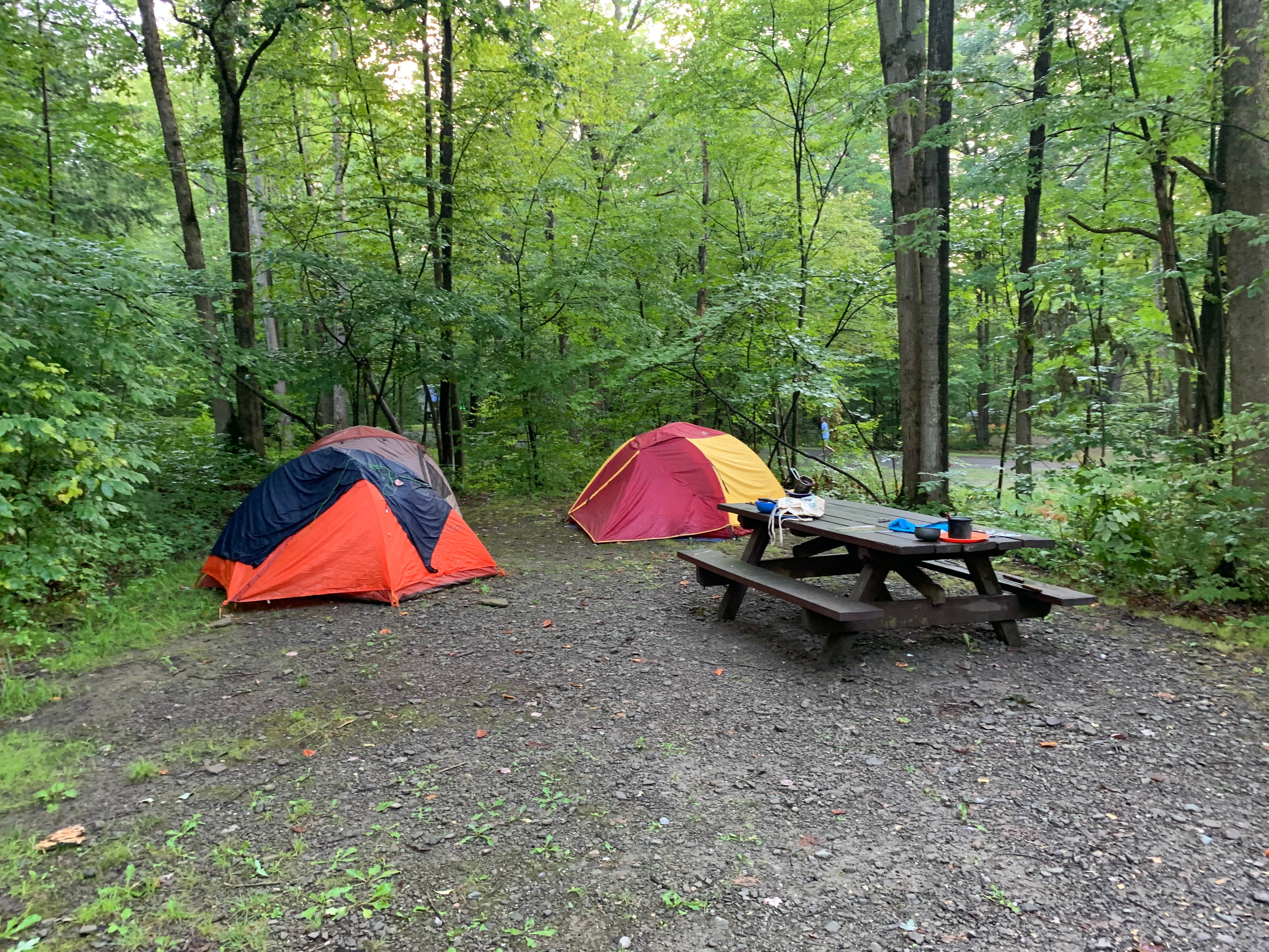 Katie's photo at Dewdrop near Clarendon, PA
