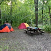 Campsite with 3 tents and plenty of space