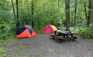 Katie's photo at Dewdrop near Frewsburg, NY
