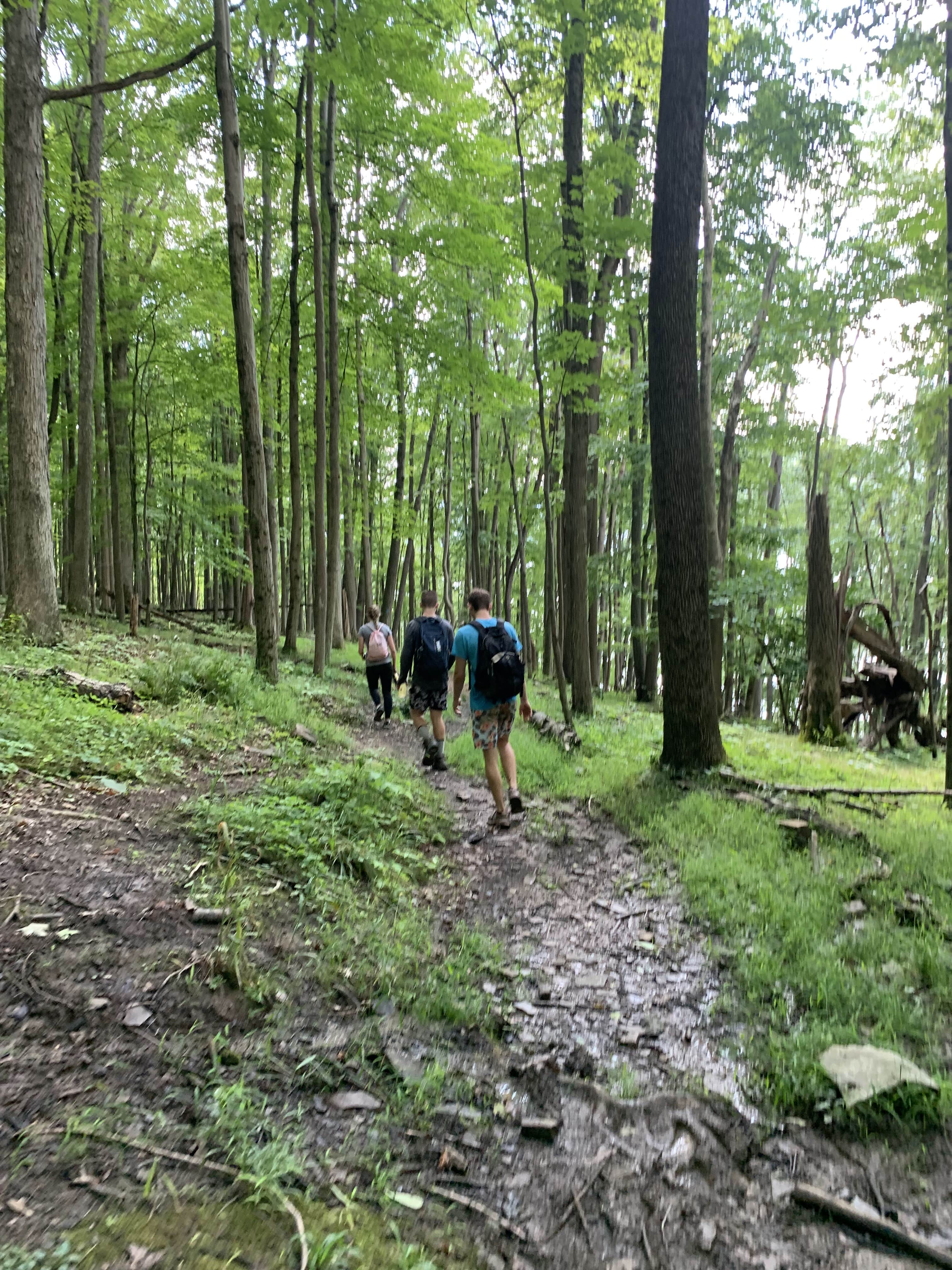 Camper-submitted photo at Dewdrop near Bradford, PA