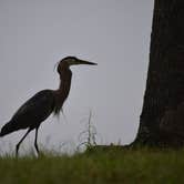 Review photo of Hamburg State Park Campground by Becky P., May 18, 2018