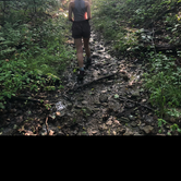Review photo of Beaver Creek State Park Campground by Katie , September 29, 2020