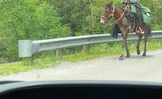 Katie's photo of camping with a horse at Beaver Creek State Park Campground near Dellroy, OH