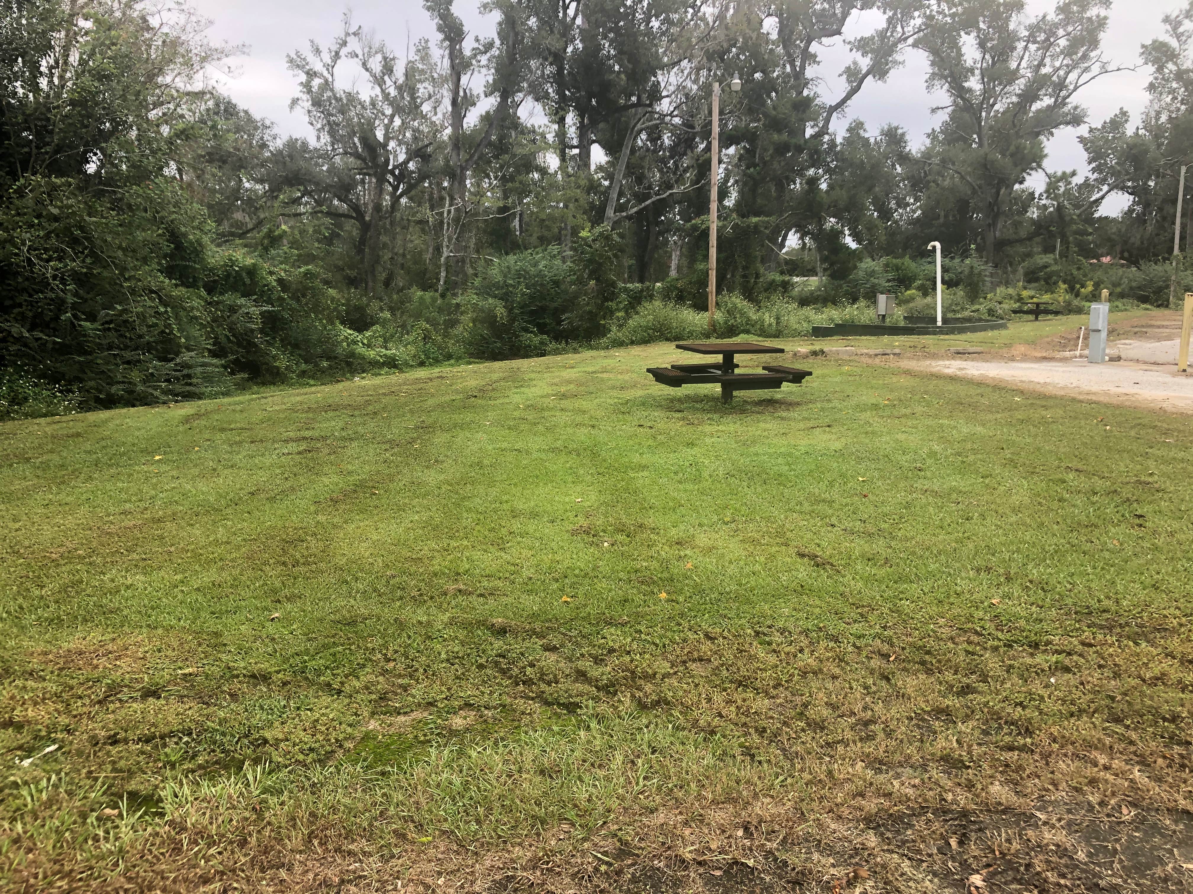 Camper-submitted photo at Spring Creek City Park near Blakely, GA