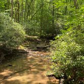 Review photo of Kentuck Campground — Ohiopyle State Park by Katie , September 29, 2020