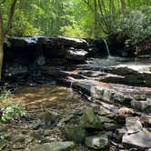 Review photo of Kentuck Campground — Ohiopyle State Park by Katie , September 29, 2020