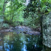 Review photo of Kentuck Campground — Ohiopyle State Park by Katie , September 29, 2020